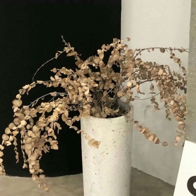 Furry插画风格打造兽圈社群